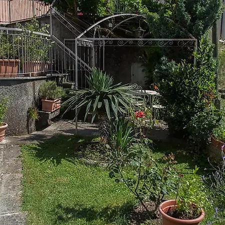 Daura Apartment